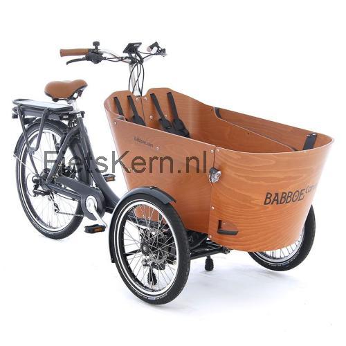 Babboe Carve-E specificaties